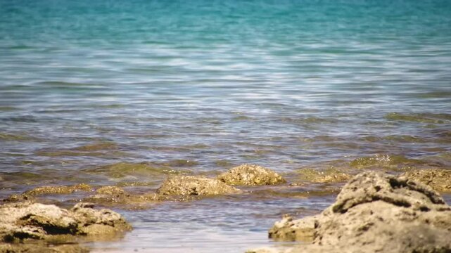Clear turquoise water and a rocky beach bed at Assyk Kul Lake in Kyrgyzstan provide an idyllic scene of natural beauty, ideal for photography and outdoor activities.