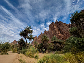 wadi disa wonders of saudi arabia uniqe and beautiful place  