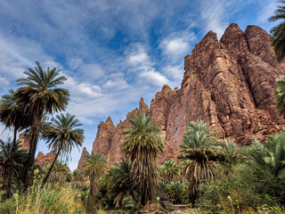 wadi disa wonders of saudi arabia uniqe and beautiful place  