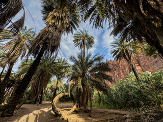 wadi disa wonders of saudi arabia uniqe and beautiful place  