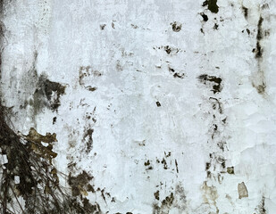 Close up of weathered and corroded wall surface. Old wall grunge and dirt texture decayed by weather and age. Seamless background texture.