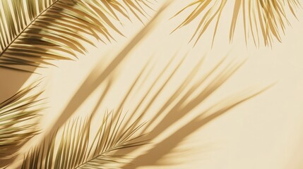 Obraz premium Card on beige background with palm leaves shadows. Minimal concept mock up background.