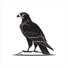 Majestic Falcon Silhouette
