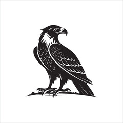 Majestic Falcon Silhouette