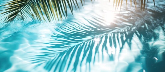 Serene Palm Shadow Reflections on Turquoise Water