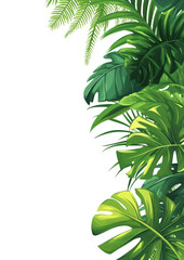 PNG Tropical leaves frame green leaf illustration.