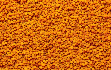 Golden Bee Pollen Granules Texture Background