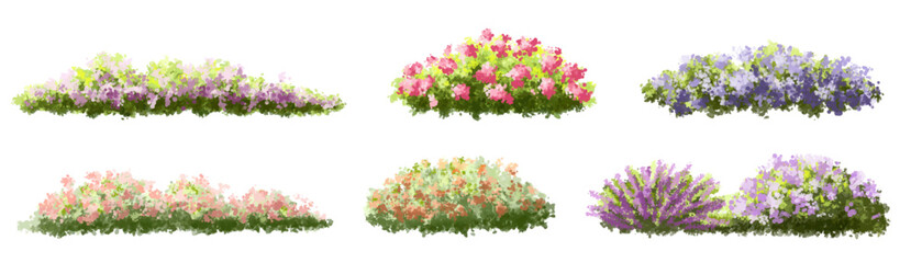 Vertor set of spring blossom tree,blooming plants side view for landscape elevation and section,eco environment concept design,watercolor meadows illustration,colorful season