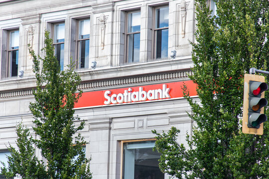 Victoria, CANADA - Jun 30 2024 : Exterior view of a Scotiabank branch sign on a classic stone building, partially obscured by trees and a traffic light.