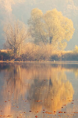 Autumn Trees Reflected in Calm Lake Water