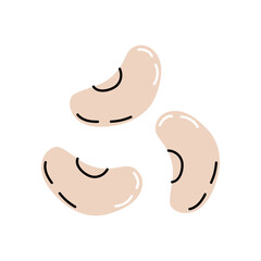 Three bean seeds. Healthy vegetables, vegetarian and vegan protein and fiber plant foods. Flat vector illustration on white background