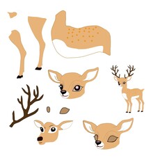 Animal body parts cartoon and animation