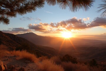 Naklejka premium Aerial view of a sunset illuminating a valley with a solitary pine tree, Hello Summer background.