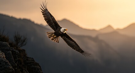 Fototapeta premium Eagle Soaring Over Mountain Landscape at Sunset