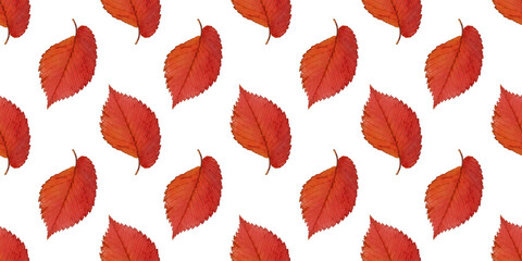 Obraz premium Seamless pattern with bright red autumn leaves creating a vibrant design