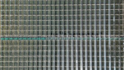 Greenhouse aerial drone view from above, large industrial greenhouses for growing vegetables, modern plantation glasshouse area, agriculture in the Netherlands