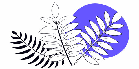 Minimalist black-and-white vector line art of tropical leaves and ferns, intricate hand-drawn strokes, organic asymmetry, monochrome, scalable for logos or packaging