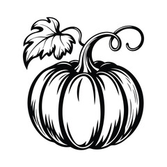 Monochrome Pumpkin Silhouette with Leaf and Vine Elegant Black and White Outline
