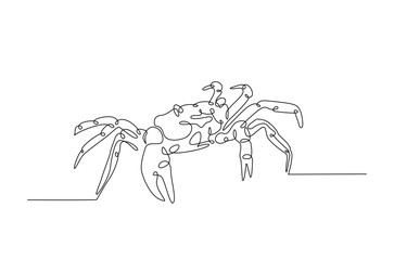 Crab in continuous one line drawing. Single line art illustration of crab, seafood. Editable vector.