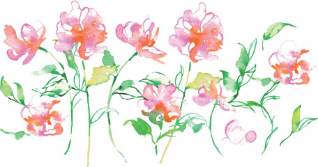 水彩画。水彩タッチのベクターピンクの花イラスト。草木のベクターイラスト。花の切り取りセット。Watercolor painting. Vector pink flower illustration with watercolor touch. Vector illustration of plants and trees. Flower cutout set.