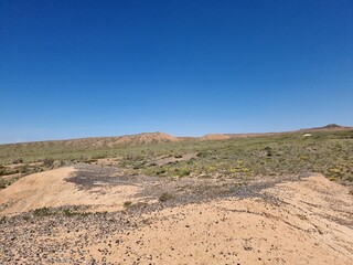beautiful landscape of the desert
