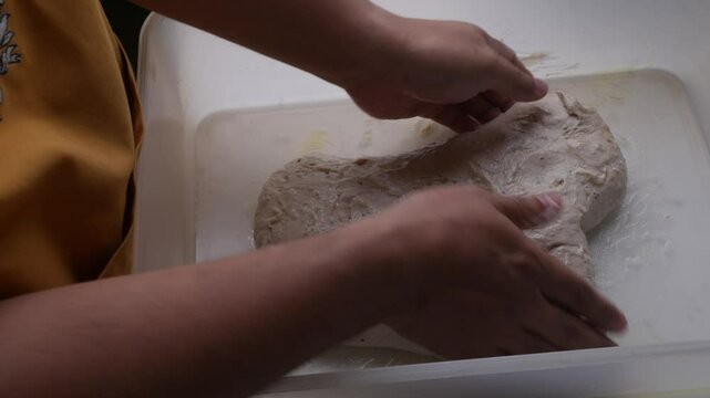 Baker hand doing coil fold technique to make sourdough bread raw dough.