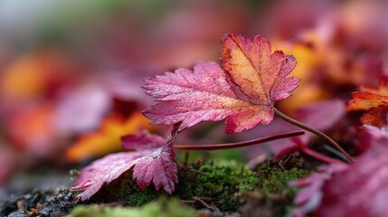 Vibrant autumn leaves with a blurred background.