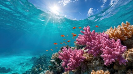 Fototapeta premium Underwater coral reef with vibrant fish and sunlight above.