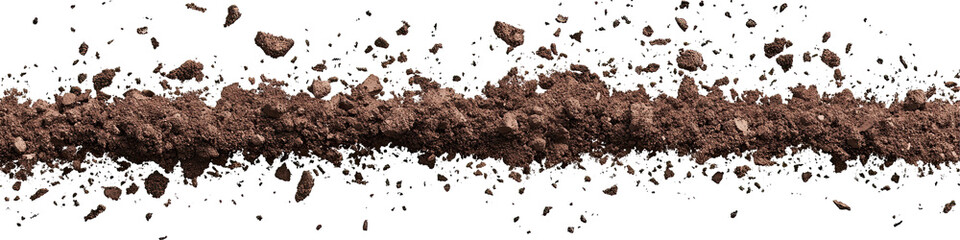 Dynamic Soil Particles on transparent background