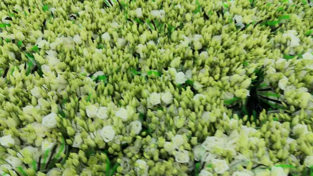top view of the background of white eustoma flowers
