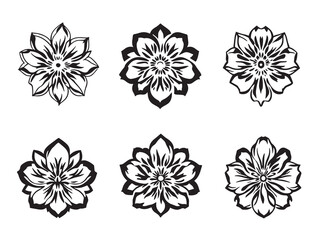 Dianthus line art