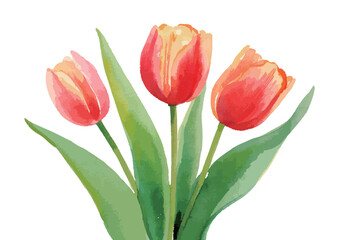 Naklejka premium 水彩で描いたチューリップのイラスト 生成AI