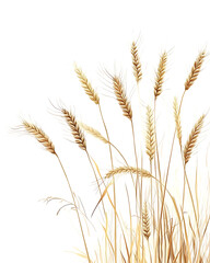 Fototapeta premium illustrations of various trees, leaves, grasses, and botanical elements on white background.