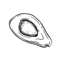 Half of avocado with seed vector isolated illustration painted by black inks. Top view. Monochrome cut fruit slices etching drawing. Healthy plant ingredient for food branding, packaging design