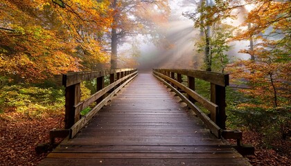 wooden bridge in autumn forest