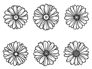 Ice Skates Winter Sports Line Art