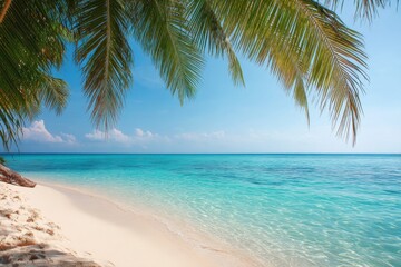 A serene beach scene featuring a palm tree and a vibrant blue ocean, Hello Summer background.