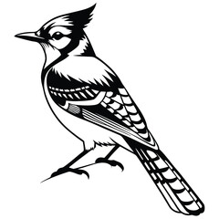 Blue jay bird black silhouette, Blue jay vector art and illustration, Bird vector 