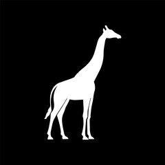 white giraffe vector with black background