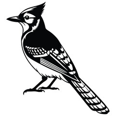 Blue jay bird black silhouette, Blue jay vector art and illustration, Bird vector 
