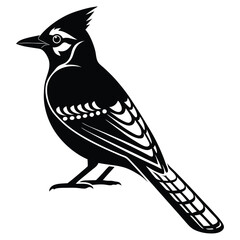 Blue jay bird black silhouette, Blue jay vector art and illustration, Bird vector 