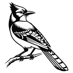Blue jay bird black silhouette, Blue jay vector art and illustration, Bird vector 