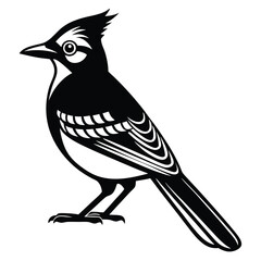 Blue jay bird black silhouette, Blue jay vector art and illustration, Bird vector 