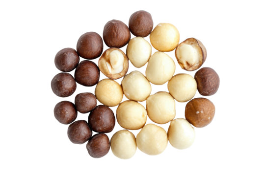 Assorted shelled macadamia nuts neatly arranged in a pile on a clean white background
