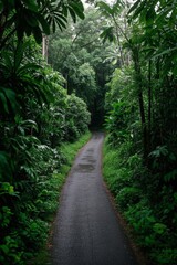 Fototapeta premium there is a road that is surrounded by trees and bushes