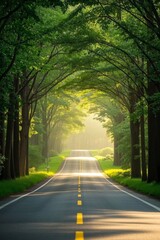 Obraz premium a view of a road with trees and grass on both sides