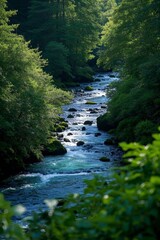 Fototapeta premium arafed view of a river running through a forest filled with trees
