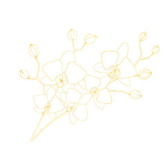 Gold contour of orchid flowers floral template. Isolated Hand drawn contours of orchid flowers on white background. Template for design, coloring page, invitation.