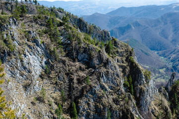 A stunning mountain landscape with rocky cliffs and scattered pine trees under a clear blue sky.