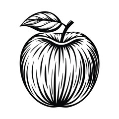 Engraved Apple with Leaf Detail in Black and White Line Art | Fruit Drawing